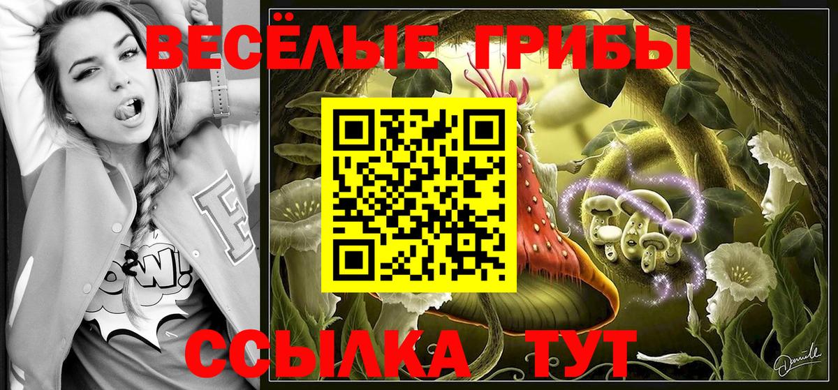 Богданович  Псилоцибиновые грибы Magic Shrooms  Вход с VPN 