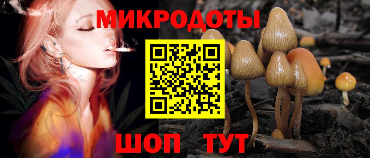 Псилоцибиновые грибы мухоморы Богданович